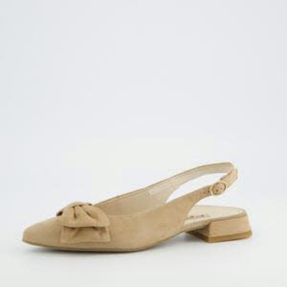 Paul Green 0079-6198-019