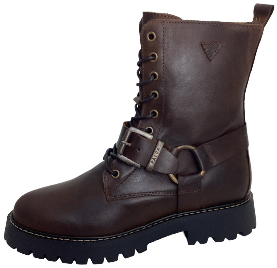 Palpa F8579