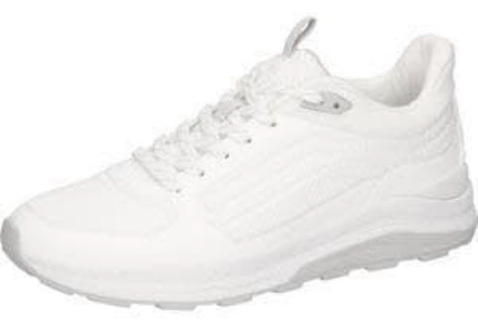 Waldläufer H-Charlie