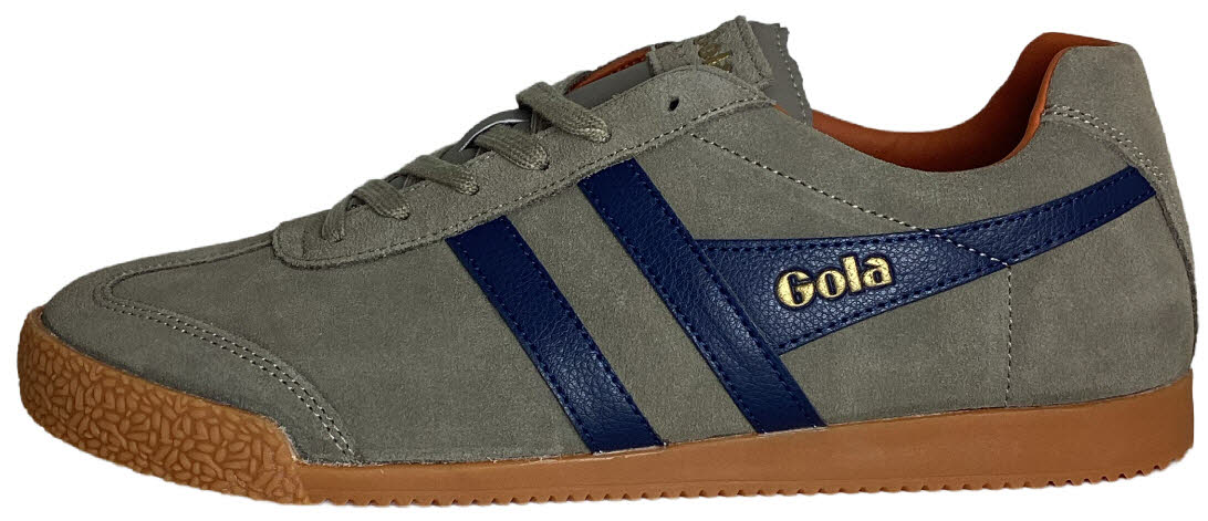 Gola Harrier